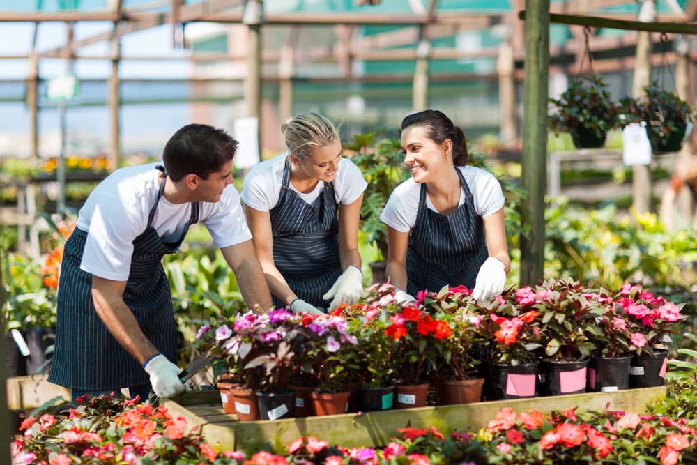Seasonal workers in 2020 outsourcing in agriculture and beyond